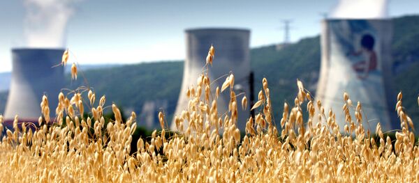 La centrale nucléaire de Cruasc - Sputnik Afrique