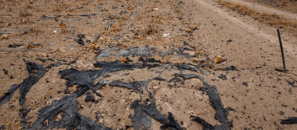 Déchets plastiques en Andalousie - Sputnik Afrique