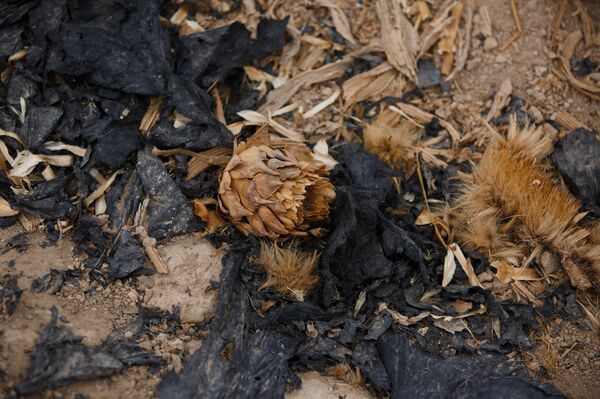 Le mensonge du recyclage des déchets en Espagne Le mensonge du recyclage des déchets en Espagne - Sputnik Afrique