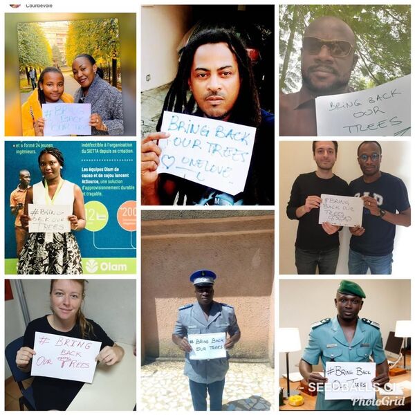 BringBackOurTrees: le hashtag écolo du moment en Côte d’Ivoire - Sputnik Afrique