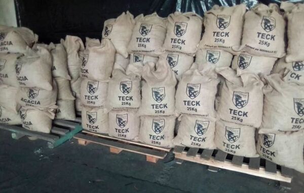 BringBackOurTrees: le hashtag écolo du moment en Côte d’Ivoire - Sputnik Afrique