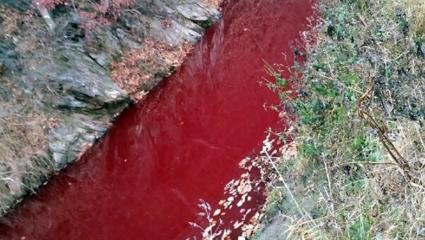 Une rivière sud-coréenne rouge du sang des bêtes abattues - photo - Sputnik Afrique