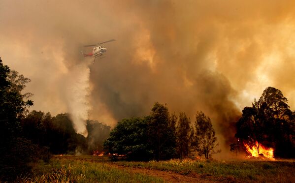 Les feux de forêt en Australie sont hors de contrôle
 - Sputnik Afrique