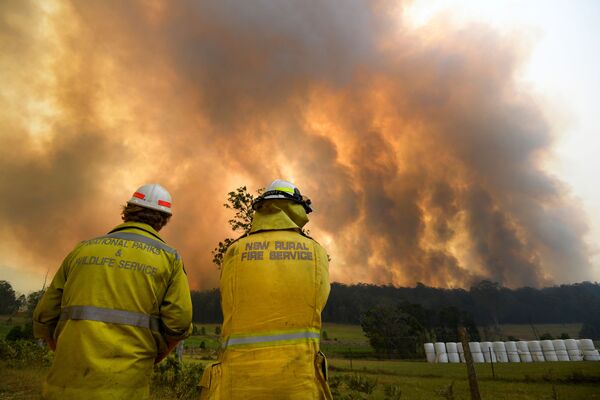 Les feux de forêt en Australie sont hors de contrôle
 - Sputnik Afrique
