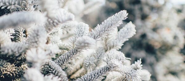 Снег Снег - Sputnik Afrique