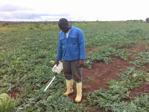 Du rêve européen à l’agribusiness, Rhamane Bidima fait sa révolution au Cameroun Du rêve européen à l’agribusiness, Rhamane Bidima fait sa révolution au Cameroun - Sputnik Afrique