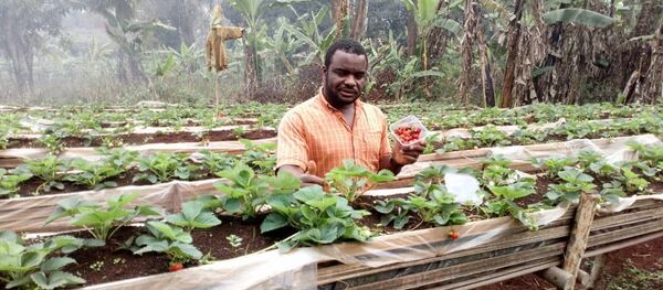 Rhamane Bidima parmi ses cultures. - Sputnik Afrique