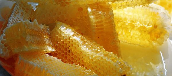 Miel - Sputnik Afrique