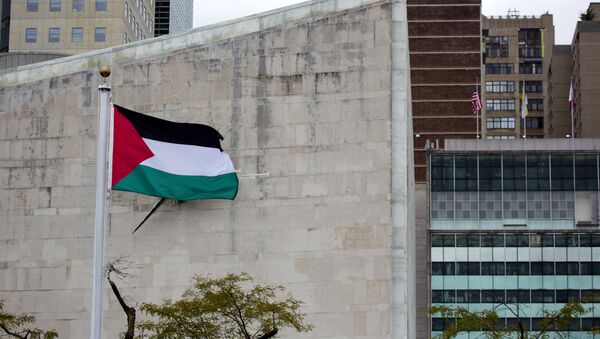 drapeau palestinien - Sputnik Afrique