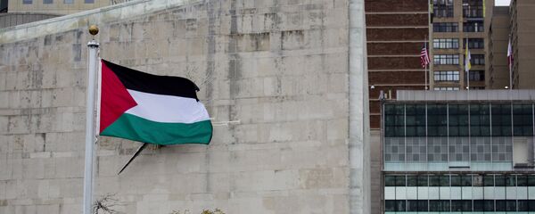 drapeau palestinien - Sputnik Afrique