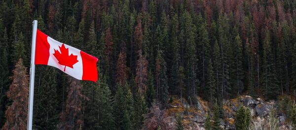 Drapeau canadien en Alberta - Sputnik Afrique