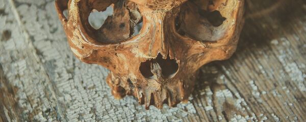 Crâne (image d'illustration) - Sputnik Afrique