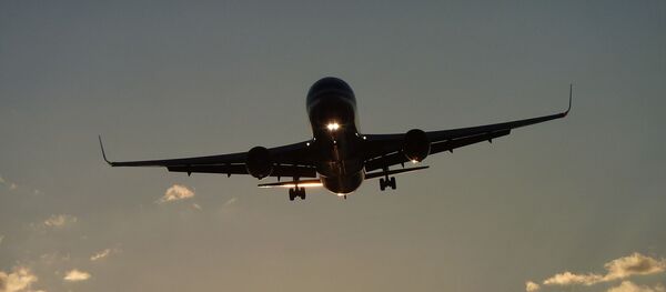 Un avion - Sputnik Afrique