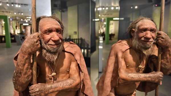 Homme de Neandertal - Sputnik Afrique