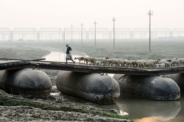 Berger guidant son troupeau sur un pont flottant provisoire enjambant le Gange à Allahabad, Inde. - Sputnik Afrique