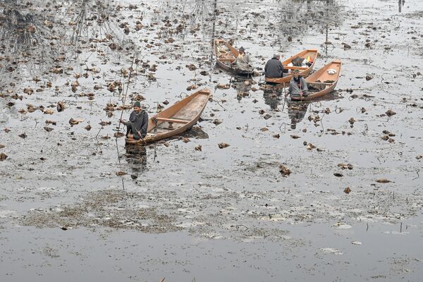 Hommes en barques sur le lac Nigeen à Srinagar. - Sputnik Afrique