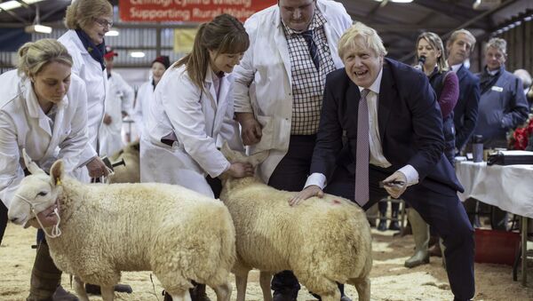 Премьер-министр Великобритании Борис Джонсон посетил выставку округа Уэльс в Лланельведде, Уэльс - Sputnik Afrique