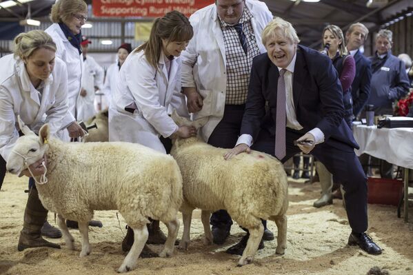 Le Premier ministre britannique Boris Johnson visitant une exposition à Llanelwedd, pays de Galles.  - Sputnik Afrique