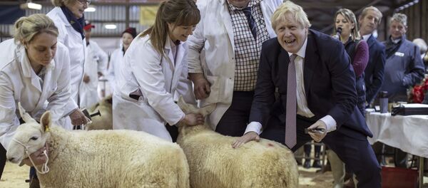 Премьер-министр Великобритании Борис Джонсон посетил выставку округа Уэльс в Лланельведде, Уэльс - Sputnik Afrique