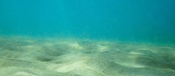 fond de mer - Sputnik Afrique