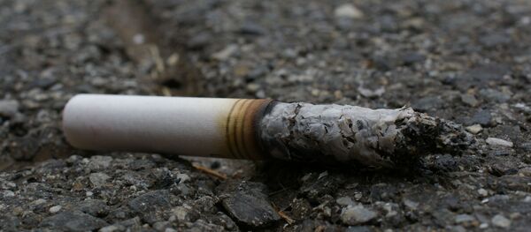 Mégot de cigarette - Sputnik Afrique