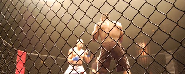 Un combat de MMA (image d'illustration) - Sputnik Afrique