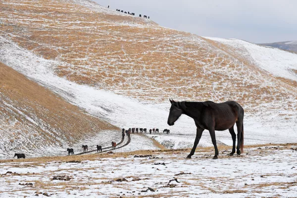 Les plus belles photos de paysage prises par Sputnik en 2019
 - Sputnik Afrique