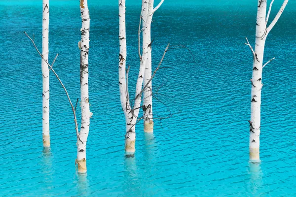 Les plus belles photos de paysage prises par Sputnik en 2019
 - Sputnik Afrique