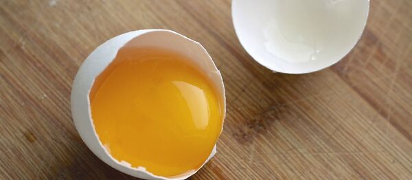 Coquille d’œuf - Sputnik Afrique