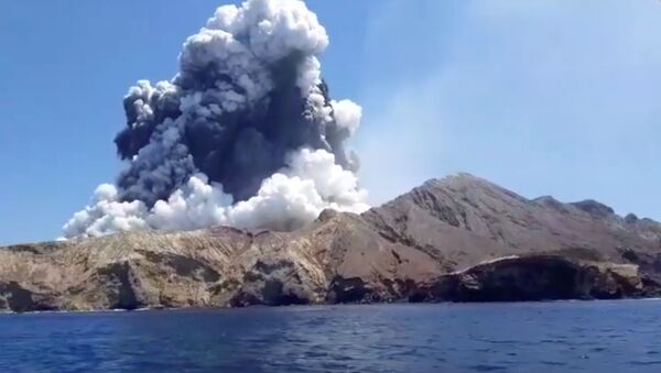 L'éruption d'un volcan sur White Island en Nouvelle-Zélande - Sputnik Afrique