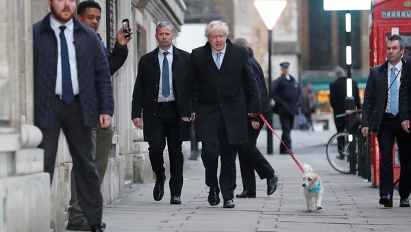 Britain's Prime Minister Boris Johnson arrives with his dog Dilyn at a polling station at the Methodist Central Hall to vote in the general election in London, Britain, December 12, 2019 - Sputnik Afrique