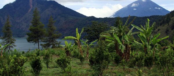 L'Indonésie - Sputnik Afrique