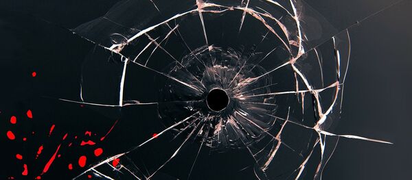 Trace d'une balle dans la vitre - Sputnik Afrique