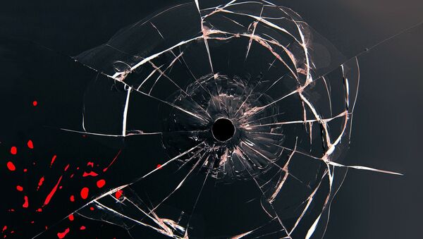 Trace d'une balle dans la vitre - Sputnik Afrique