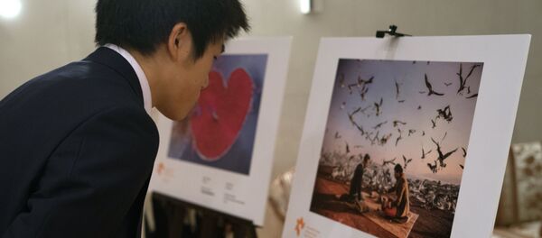 Exposition du concours Stenine - Sputnik Afrique