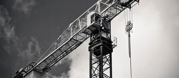 Une grue, image d'illustration - Sputnik Afrique