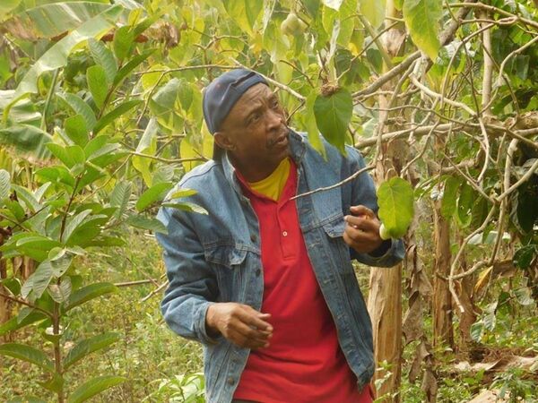 Bernard Njonga, le défenseur du monde agropastoral au Cameroun Bernard Njonga, le défenseur du monde agropastoral au Cameroun - Sputnik Afrique