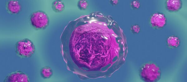 Cellules - Sputnik Afrique