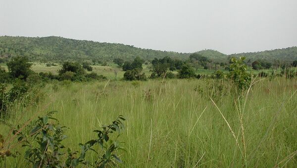 Sahel savanna in SW Burkina Faso, near Gbomblora on the road from Gaoua to Batié. - Sputnik Afrique
