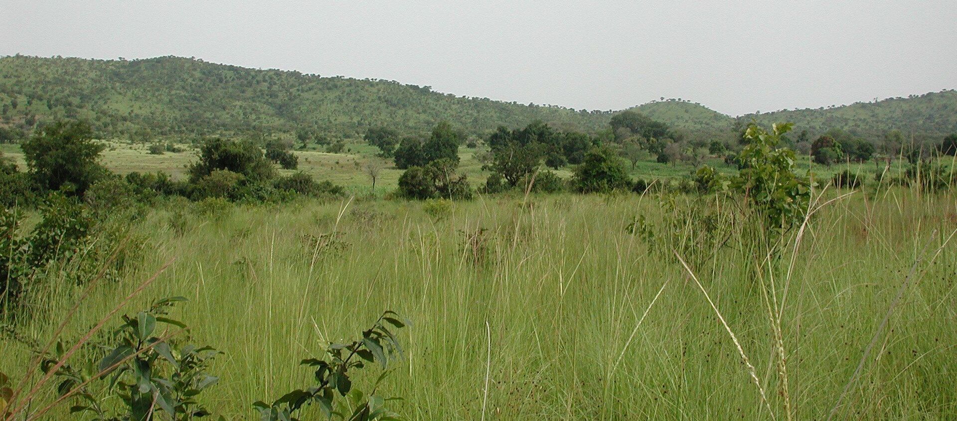 Sahel savanna in SW Burkina Faso, near Gbomblora on the road from Gaoua to Batié. - Sputnik Afrique, 1920, 09.03.2020