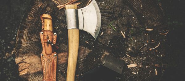 Une hache - Sputnik Afrique