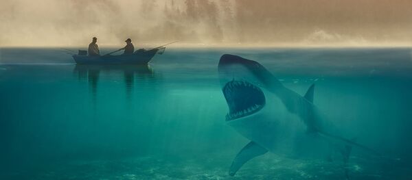 Requin (image d'illustration) - Sputnik Afrique