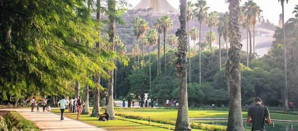 Jardin Botanique du Hamma ou Jardin d'Essai du Hamma - Sputnik Afrique