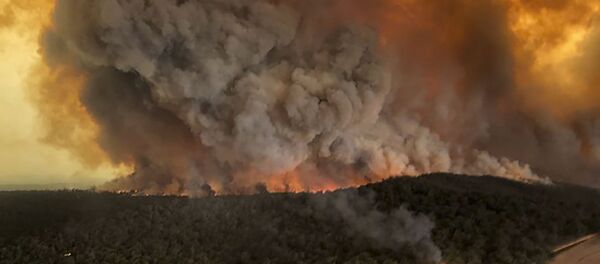 Les incendies en Australie - Sputnik Afrique
