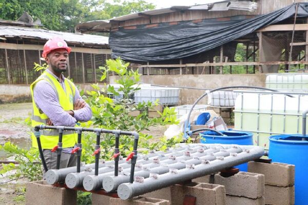 Avec l’aquaponie, Flavien Kouatcha veut booster l’agriculture au Cameroun Avec l’aquaponie, Flavien Kouatcha veut booster l’agriculture au Cameroun - Sputnik Afrique