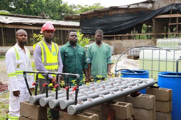 Avec l’aquaponie, Flavien Kouatcha veut booster l’agriculture au Cameroun Avec l’aquaponie, Flavien Kouatcha veut booster l’agriculture au Cameroun - Sputnik Afrique