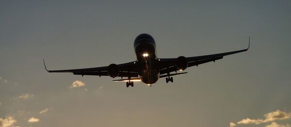 Un avion Un avion - Sputnik Afrique