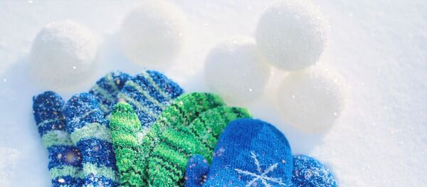 Boules de neige - Sputnik Afrique