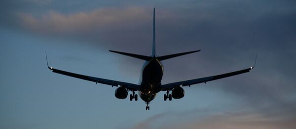 Un avion - Sputnik Afrique