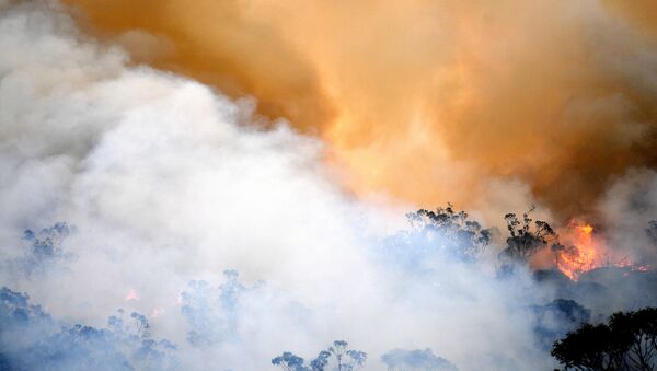 Incendies en Australie - Sputnik Afrique